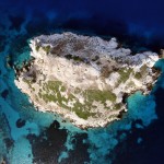 cropped-IMG_1978.jpg